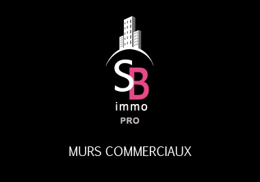 Vente Immobilier Professionnel Murs commerciaux Lattes 34970